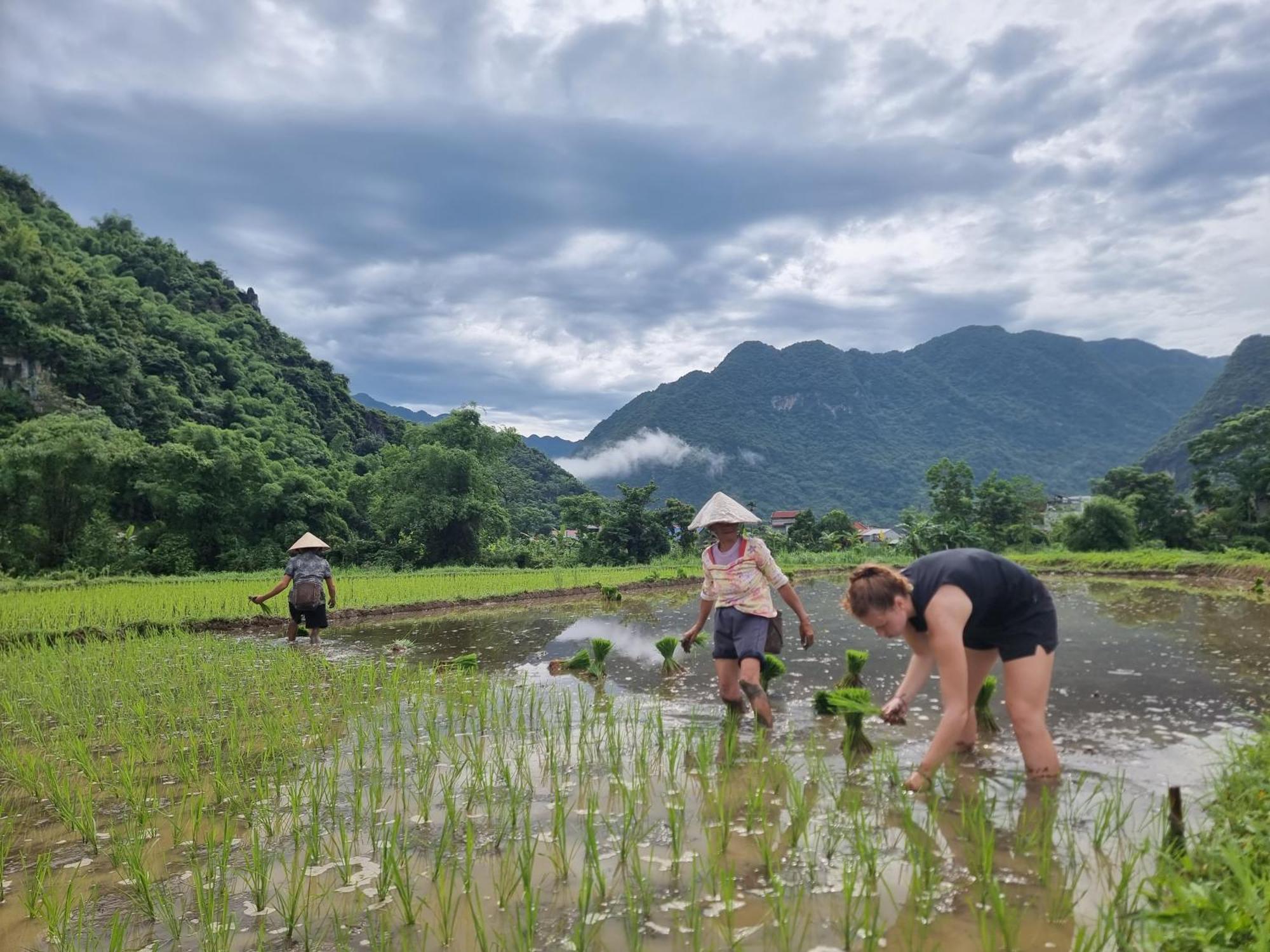 Inh La Home Pu Luong ภายนอก รูปภาพ